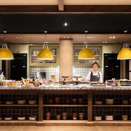 酒店 考奈尔酒店 4*